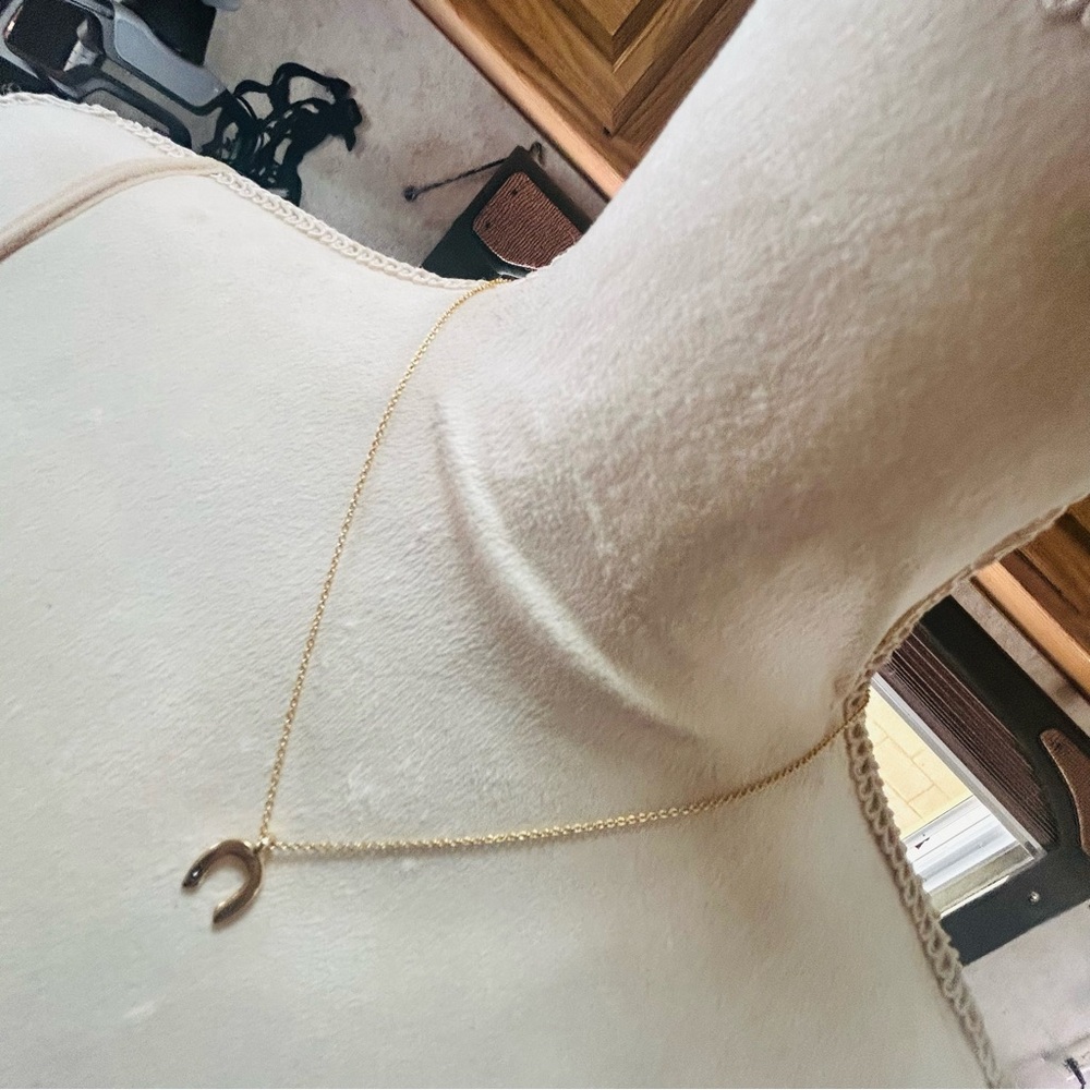 Vintage lucky horseshoe pendant on chain necklace